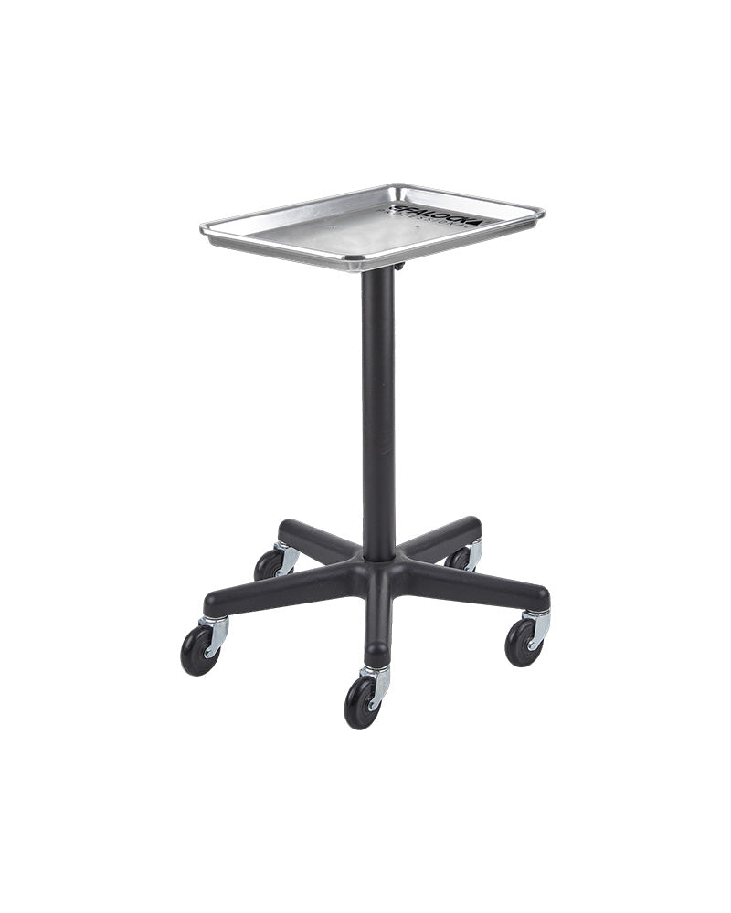 CREATIVE STATION - Color trolley on wheels